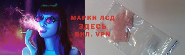 шишки Алзамай