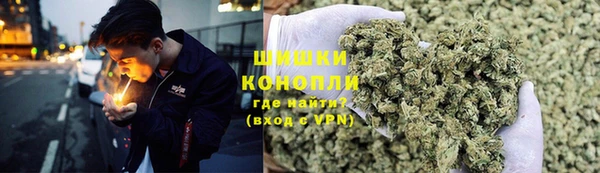 шишки Алзамай