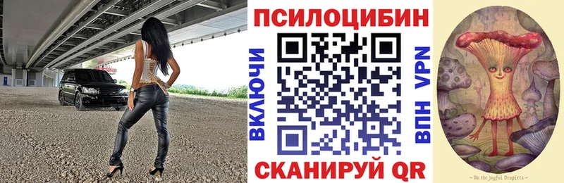 продажа наркотиков Шацк Псилоцибиновые грибы MAGIC MUSHROOMS